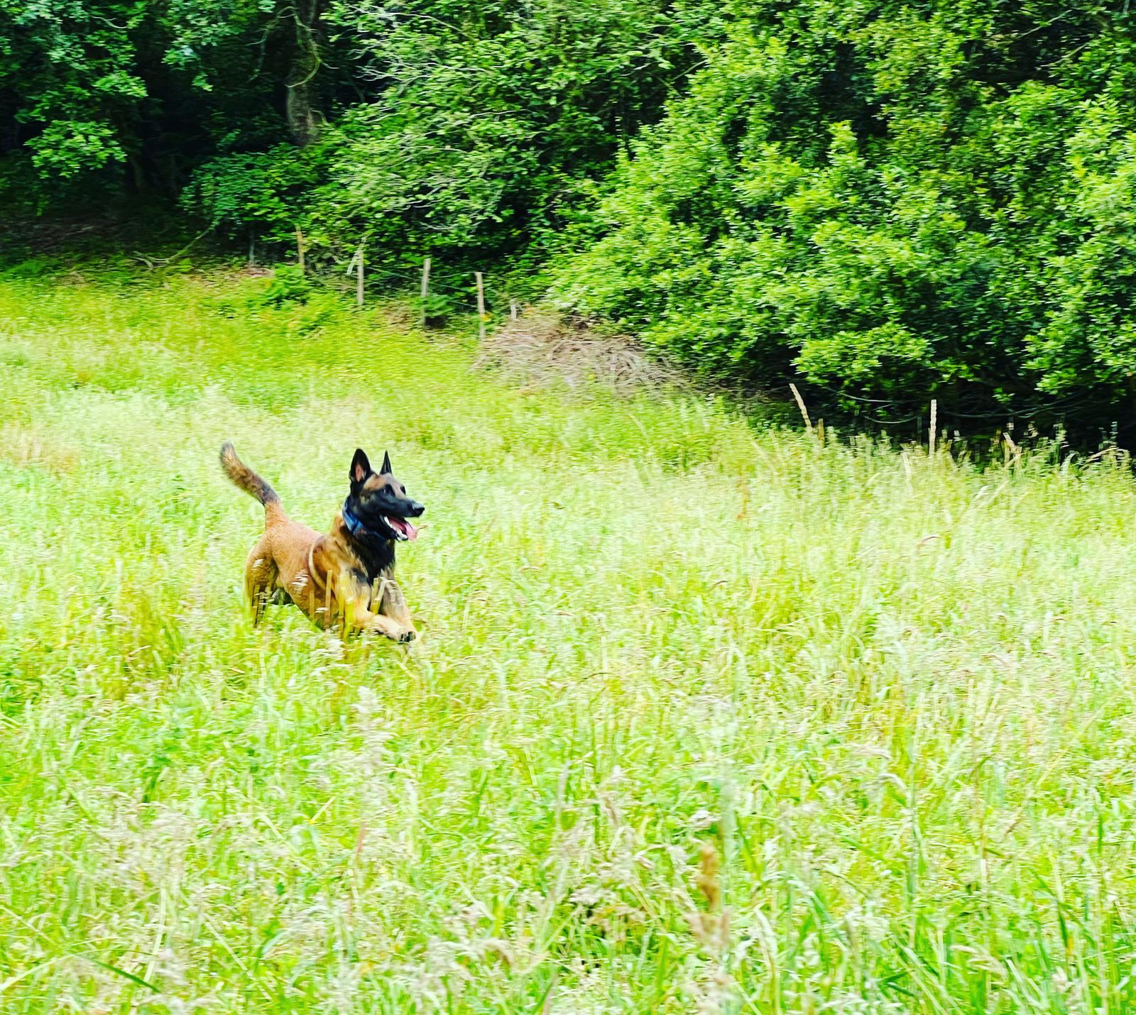 jon arraibi cafe con patas