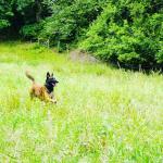 jon arraibi cafe con patas