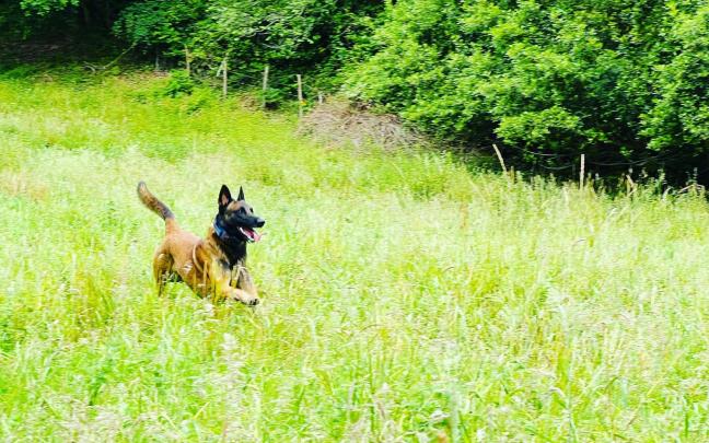 jon arraibi cafe con patas