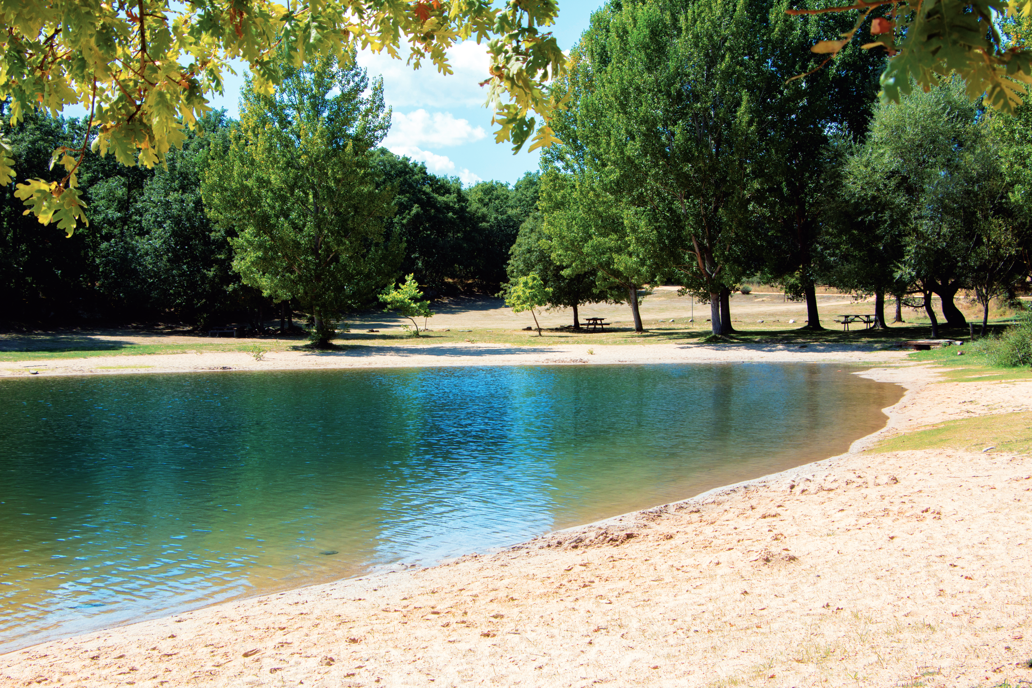 Una panorámica de una de las concurridas playas fluviales del río Tera, donde la arena se funde con los bosques de ribera.
