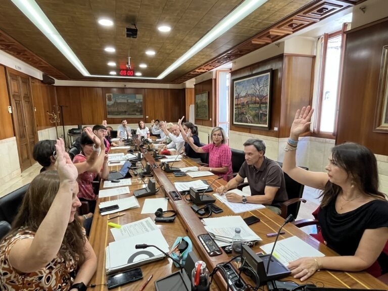 Comisión de Euskera, Cultura y Educación y Deporte, Salud y Cooperación en la que se ha aprobado la nueva ordenanza de animales. EP