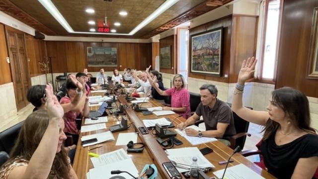 Comisión de Euskera, Cultura y Educación y Deporte, Salud y Cooperación en la que se ha aprobado la nueva ordenanza de animales. EP