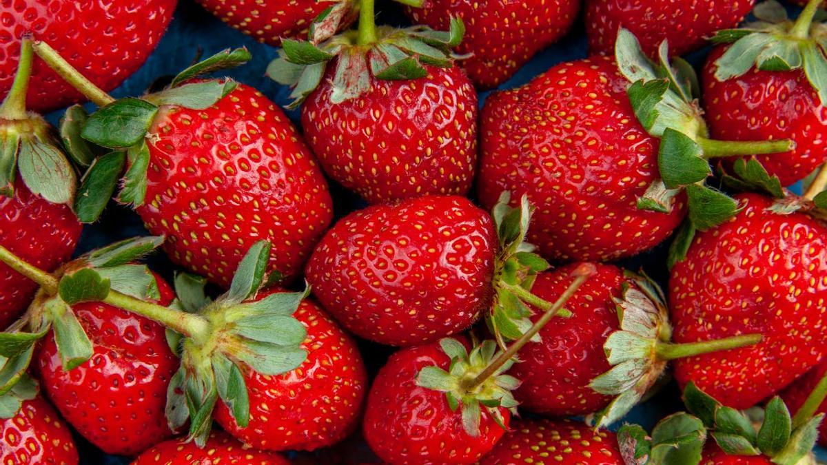 Fresas.