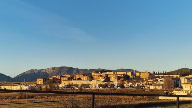 Pinos Puente.