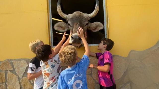 El centro de rescate navarro, Basabere, en Lezaun.