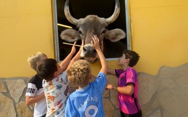 El centro de rescate navarro, Basabere, en Lezaun.