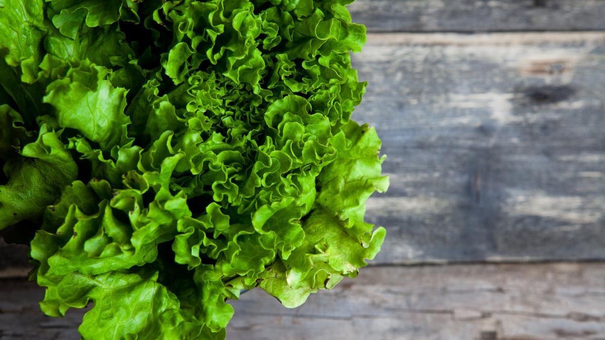 Lechuga fresca en una foto de archivo