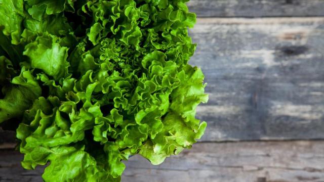 Lechuga fresca en una foto de archivo