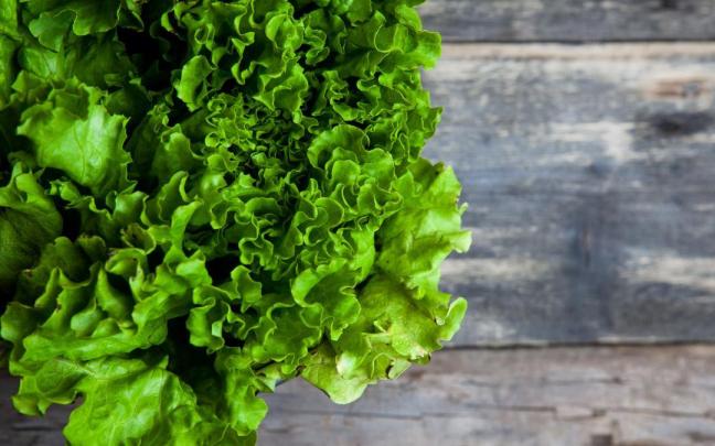 Lechuga fresca en una foto de archivo