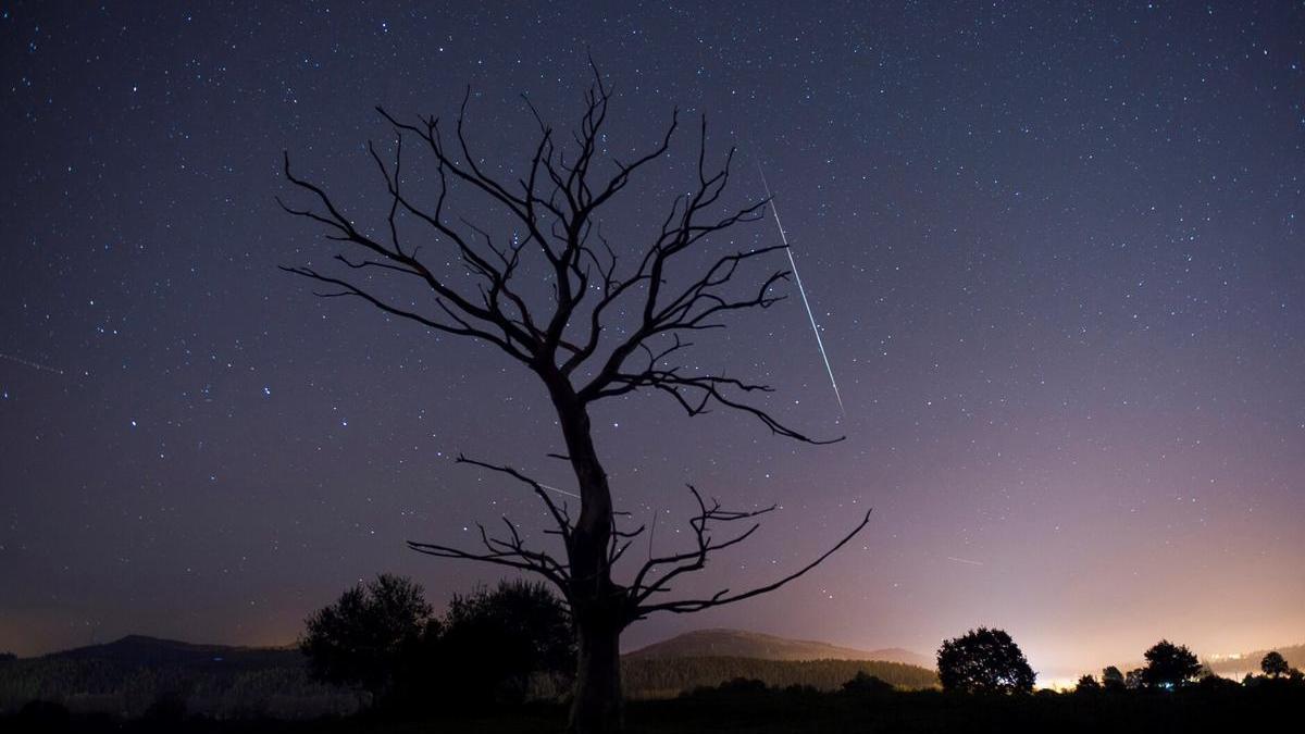Leónida perteneciente a la lluvia de estrellas fugaces del mes de noviembre en Cantabria