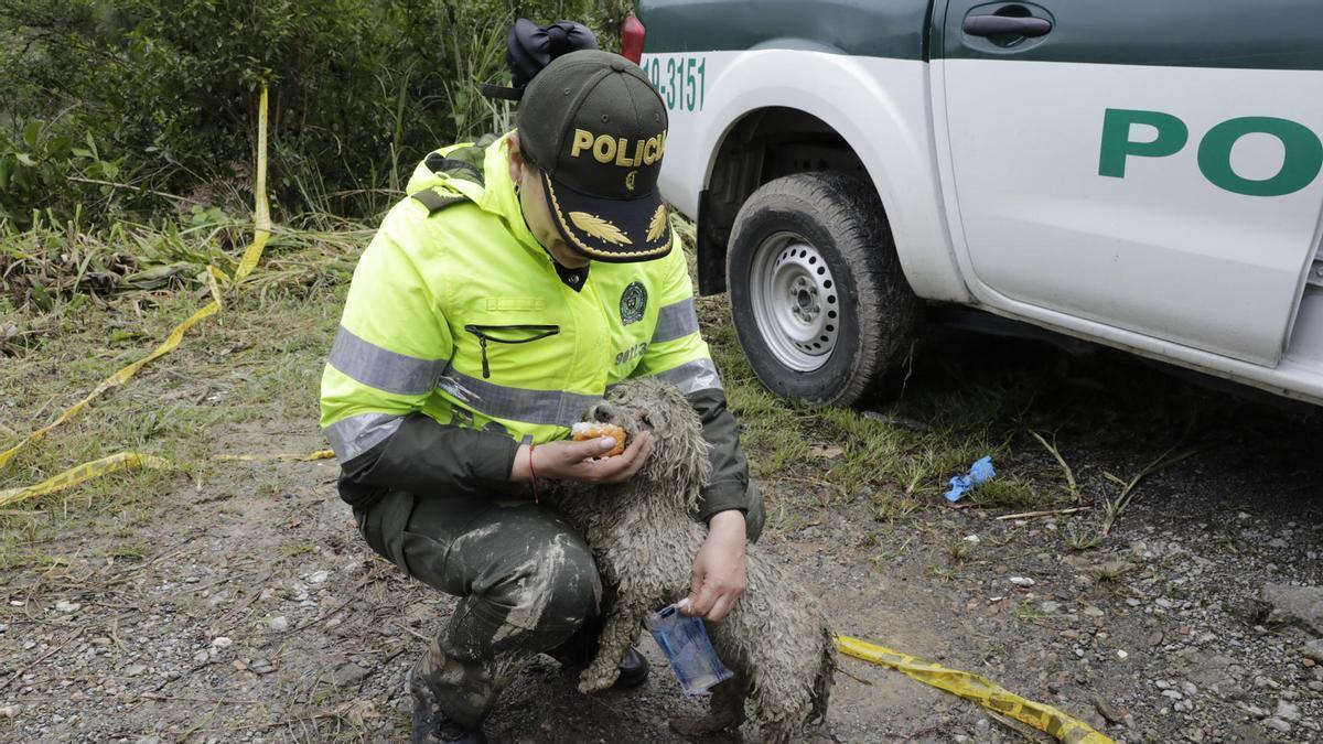 Un agente de la Policía de Colombia.