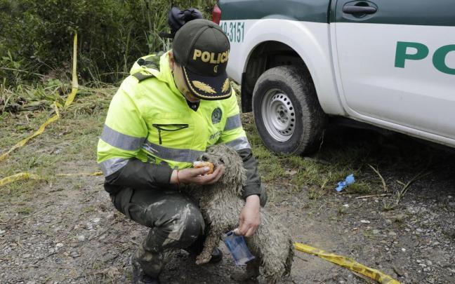 Un agente de la Policía de Colombia.