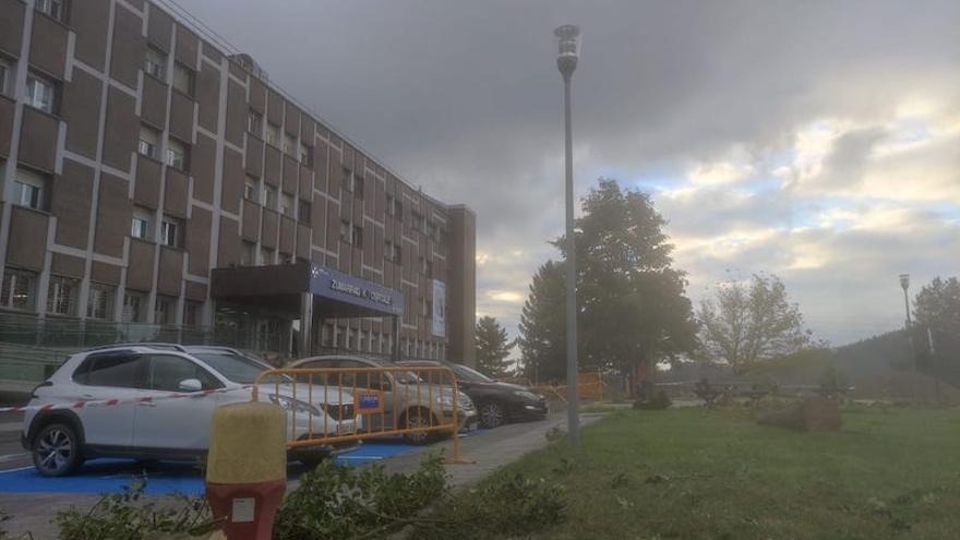 Los árboles situados frente al hospital se han talado para construir el nuevo edificio.