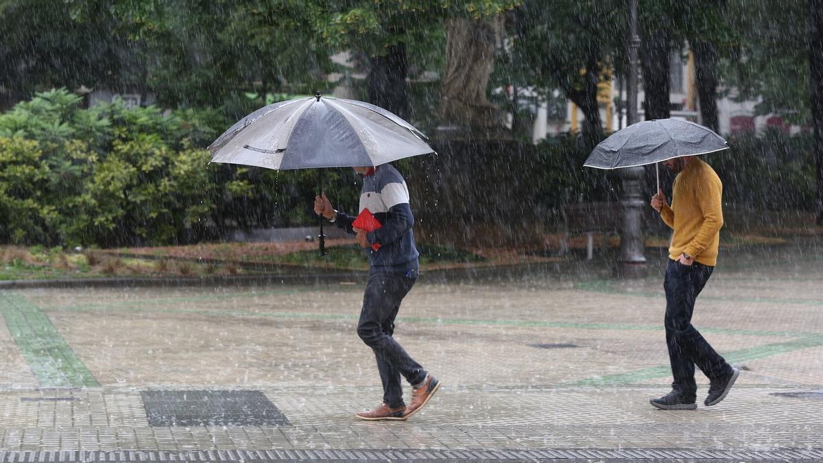 Egunak aurrera egin ahala hodeitza arinduz joango da eta ostarteak irekiko dira.