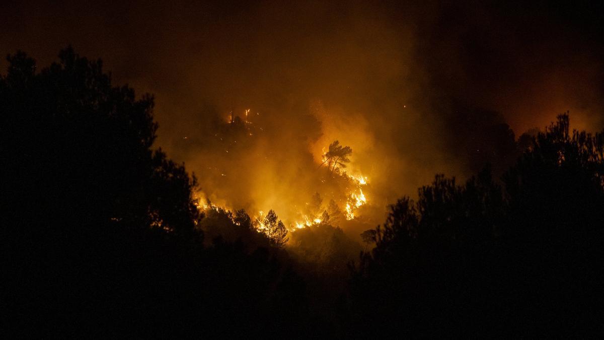 Imagen de un incendio forestal