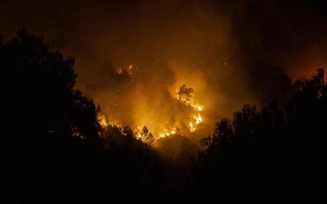 Imagen de un incendio forestal / EFE/EP Imagen de un incendio forestal