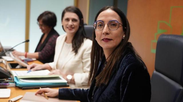 La consejera de Educación, Begoña Pedrosa / PAULINO ORIBE La consejera de Educación, Begoña Pedrosa