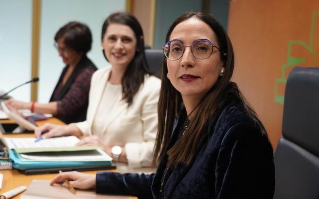 La consejera de Educación, Begoña Pedrosa / PAULINO ORIBE La consejera de Educación, Begoña Pedrosa
