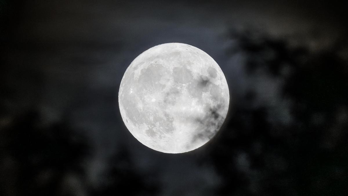 'Soy Camarero' muestra los surrealistas mensajes que envía uno de sus clientes a causa de la Luna.