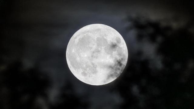 'Soy Camarero' muestra los surrealistas mensajes que envía uno de sus clientes a causa de la Luna.