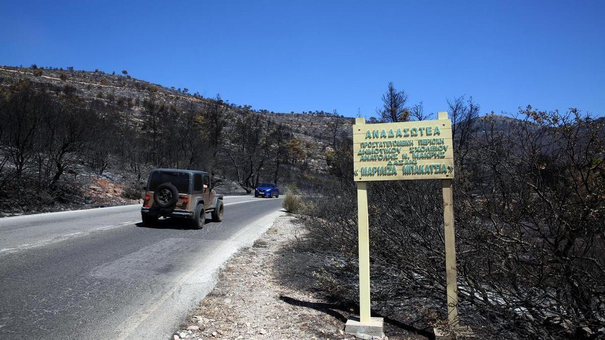 Un vehículo circula ante un cartel en el que se puede leer "área reforestada protegida" en un bosque quemado cerca de Atenas.