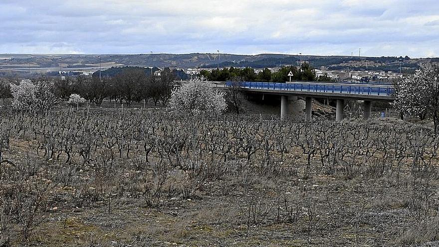 Lugar en el que van a acometer las obras del enlace de la AP-68 en Lodosa.