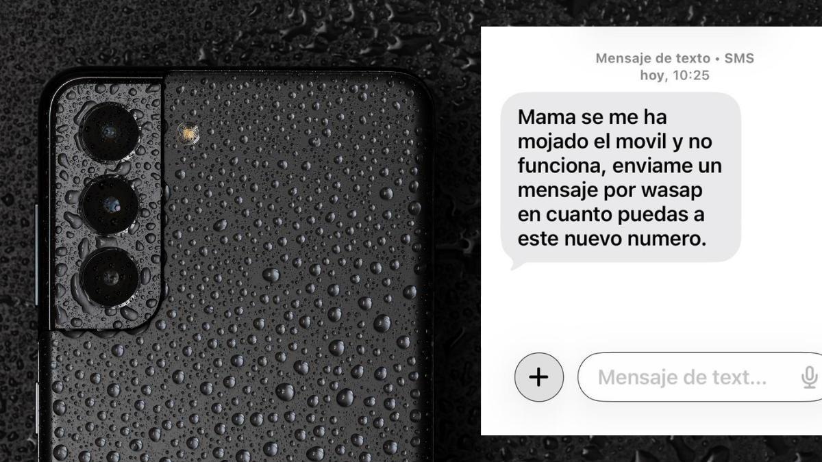 Uno de los mensajes que ha circulado alarmando a los ususarios.