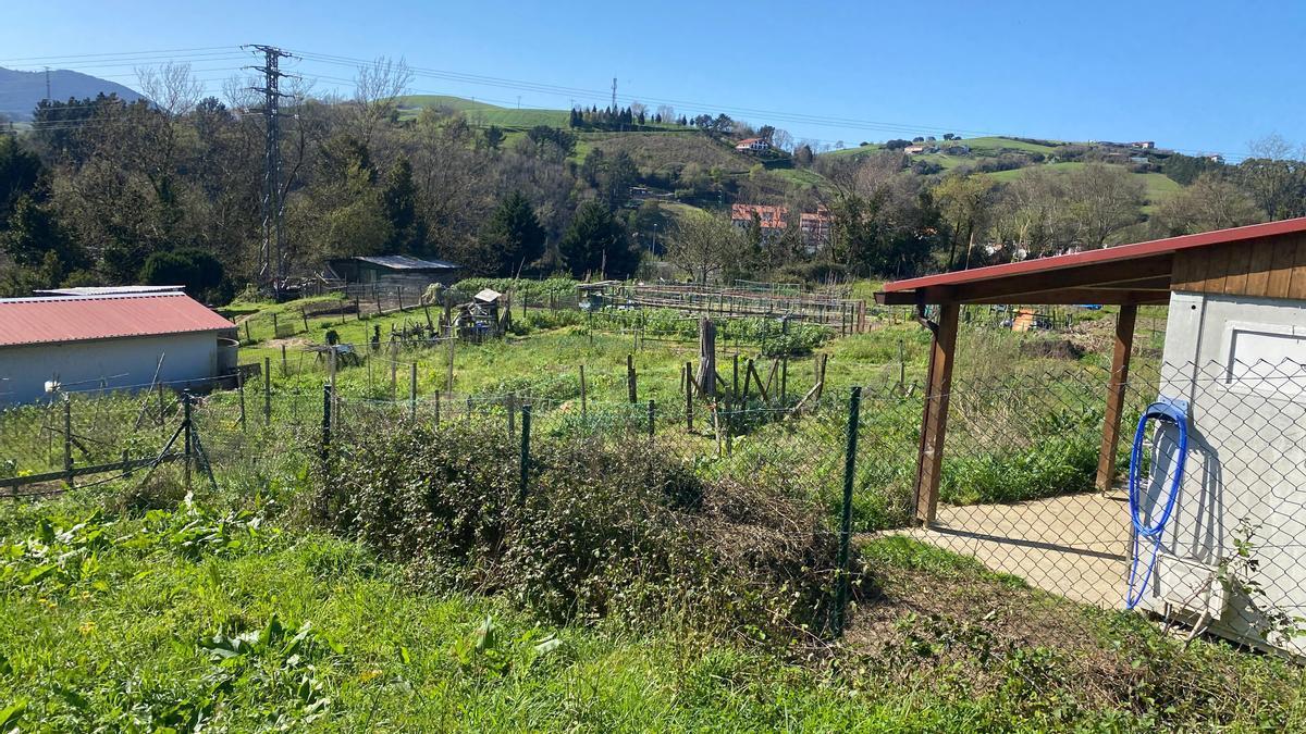 Huertas municipales de Zumaia.