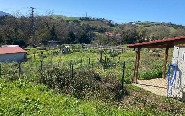 Huertas municipales de Zumaia.