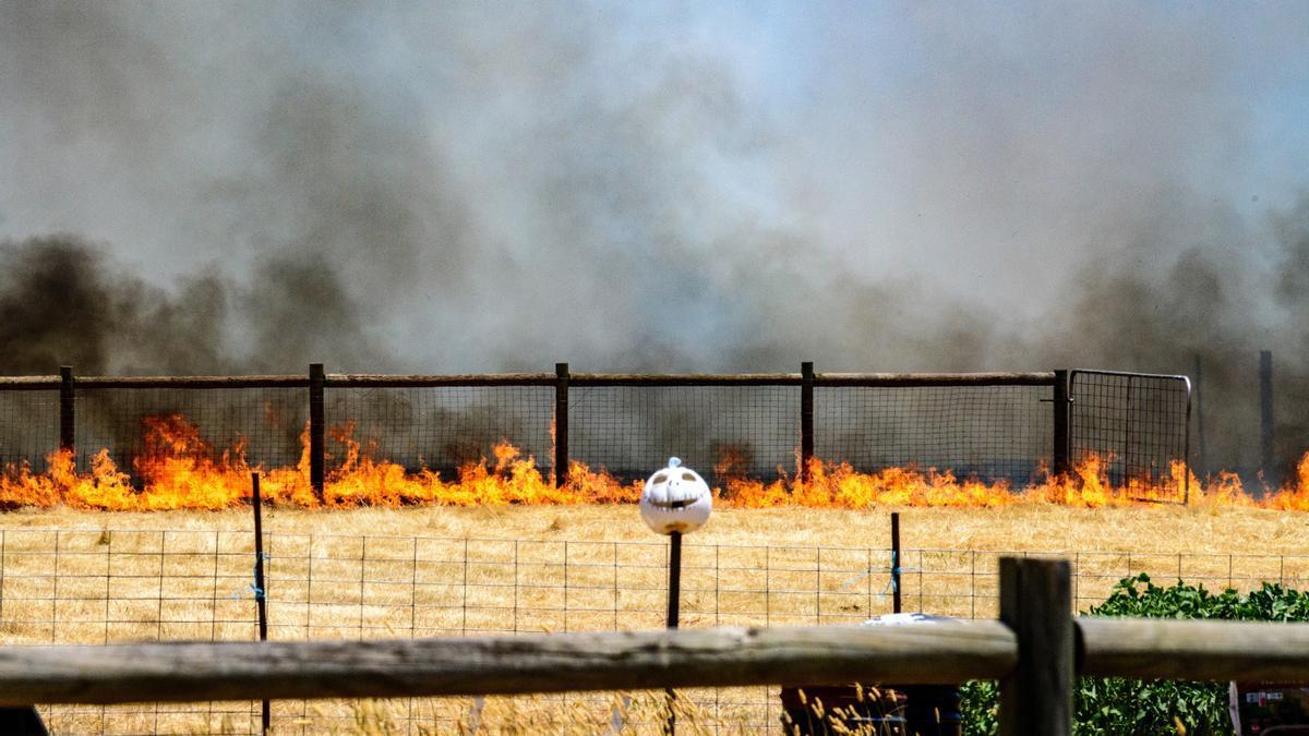 Más de 30 incendios forestales activos ya han arrasado más de 300.000 hectáreas en el estado australiano de Victoria