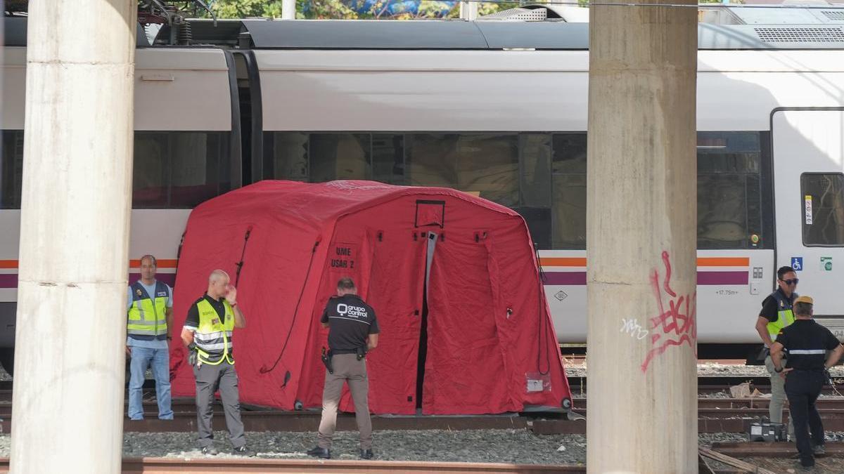 La policía y la UME junto a los dos trenes donde se ha localizado el cádaver, cerca de la estación de Santa Justa.