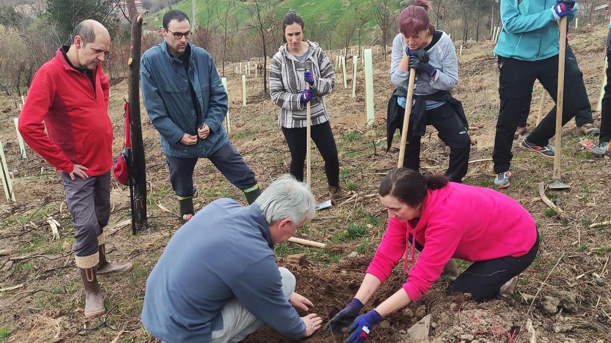 Balmaseda reforesta dos hectáreas con especies autóctonas en el monte Arbalitza