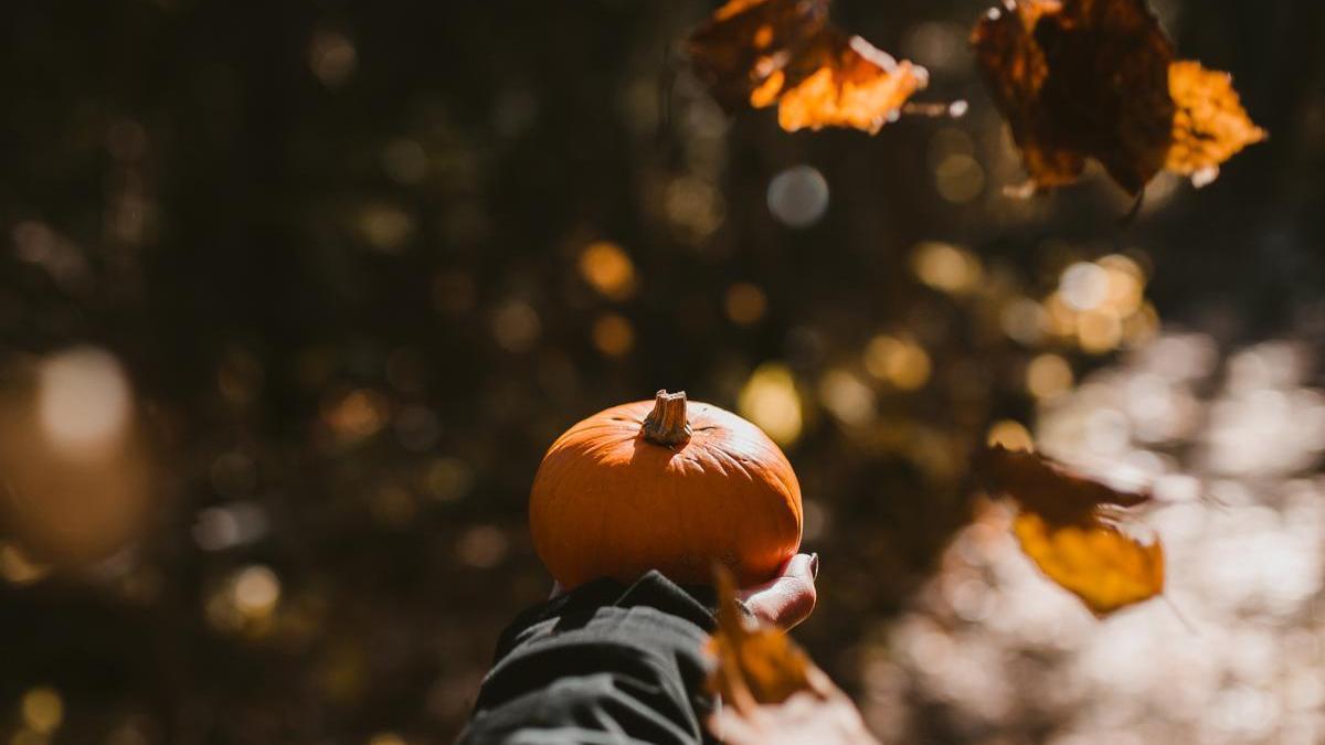 Ya está aquí el otoño.