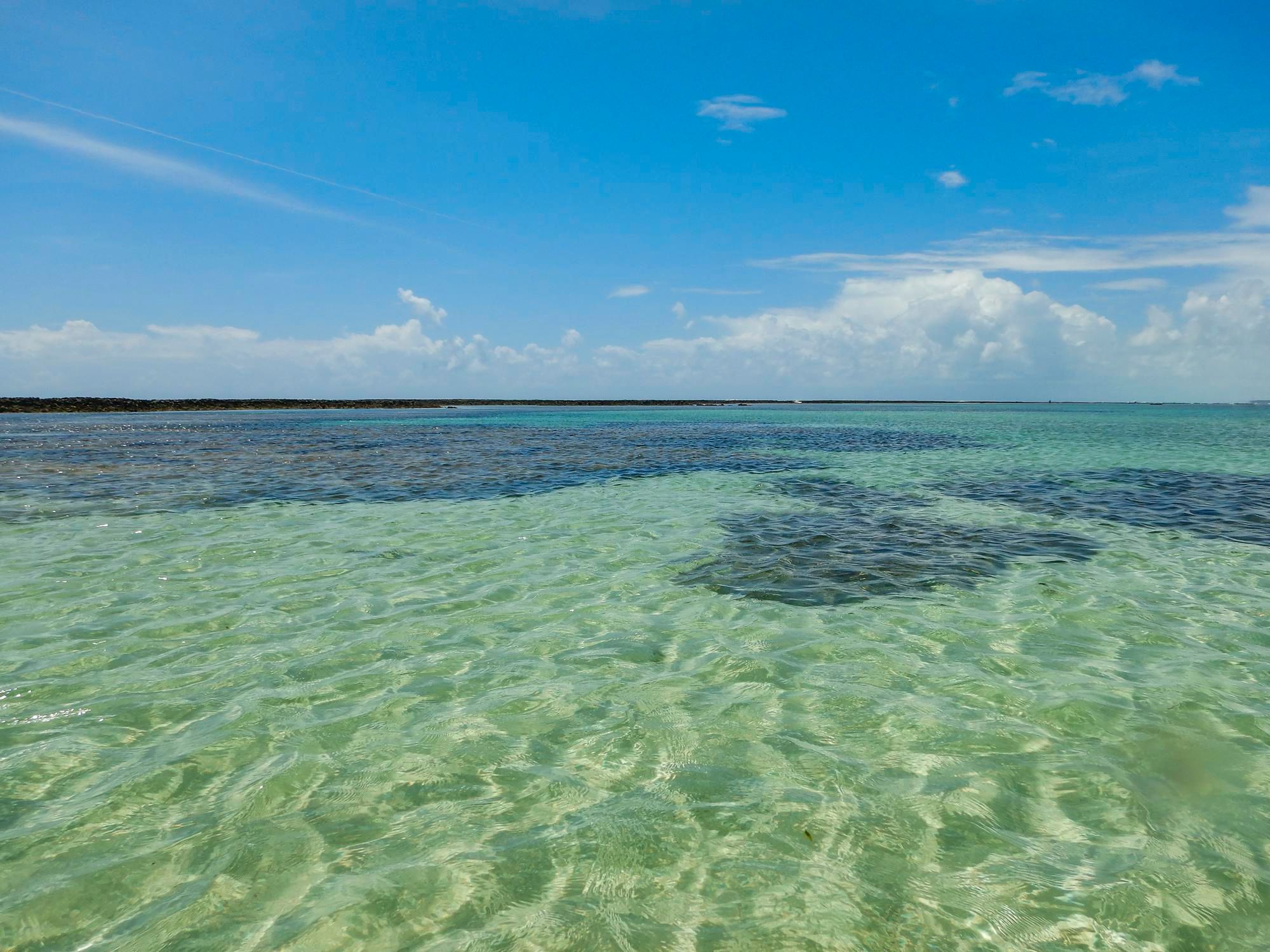 Piscinas naturales en Maragogi para disfrutar de la activa vida marina.