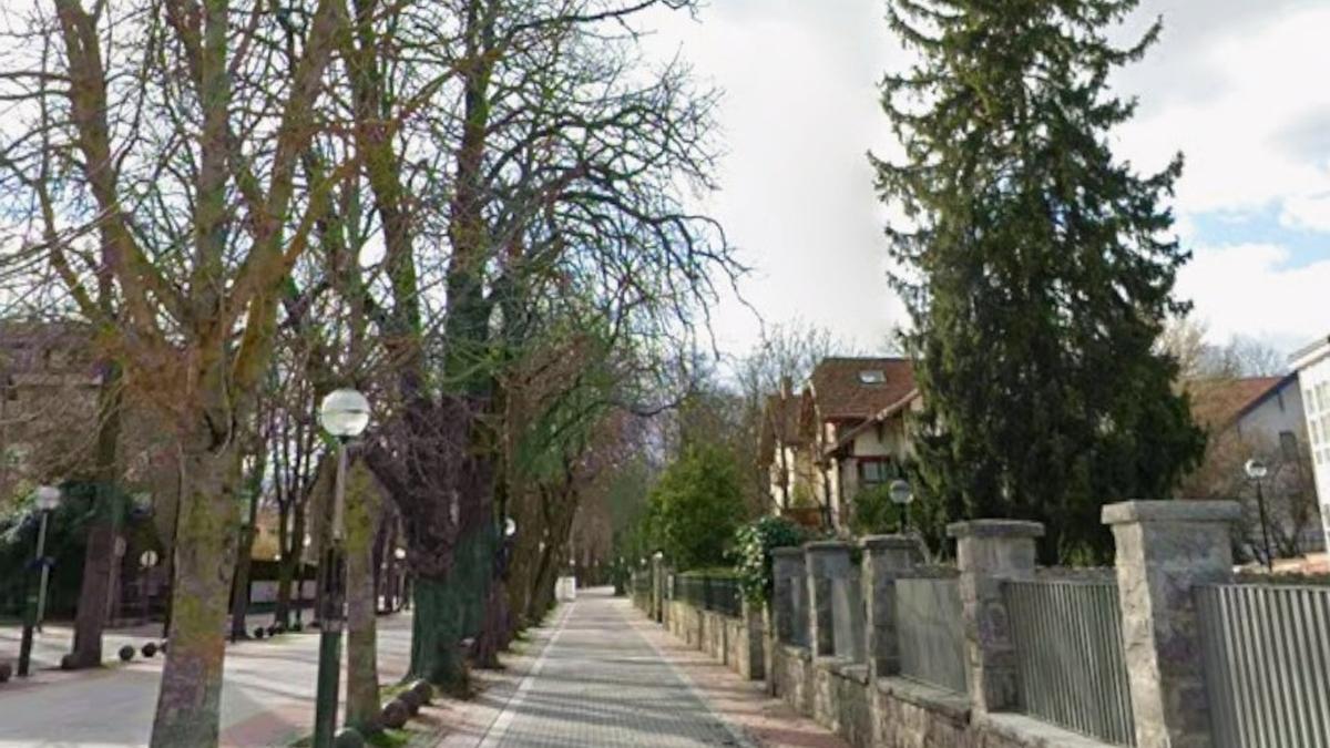 Gasteizko Udalak ia 183.000 euro inbertituko ditu Frai Frantzisko pasealekuko zoladura berritzeko.