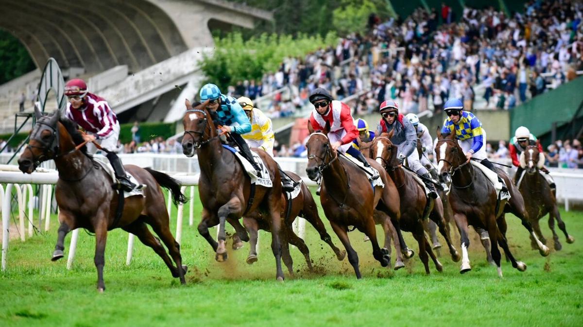 Carrera de la Copa de Oro el Hipódromo de Donostia.
