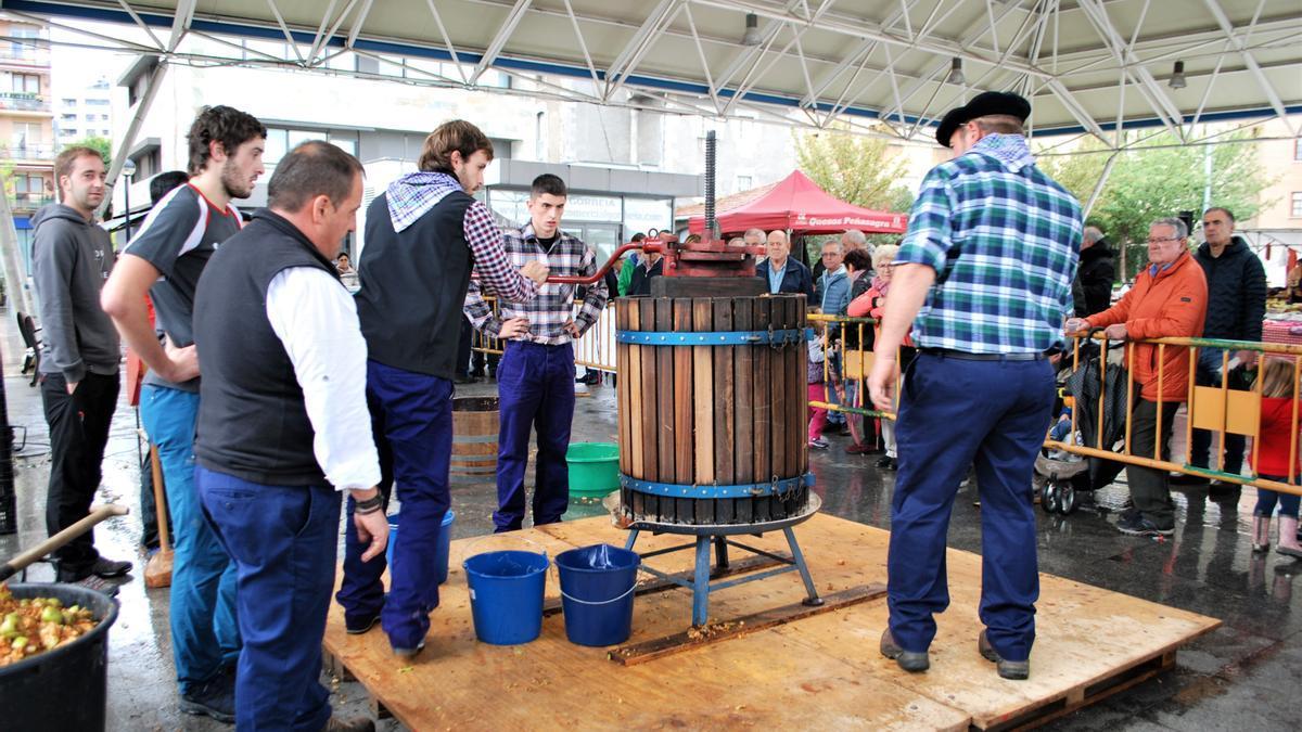 Prensando la manzana troceada para extraer su zumo