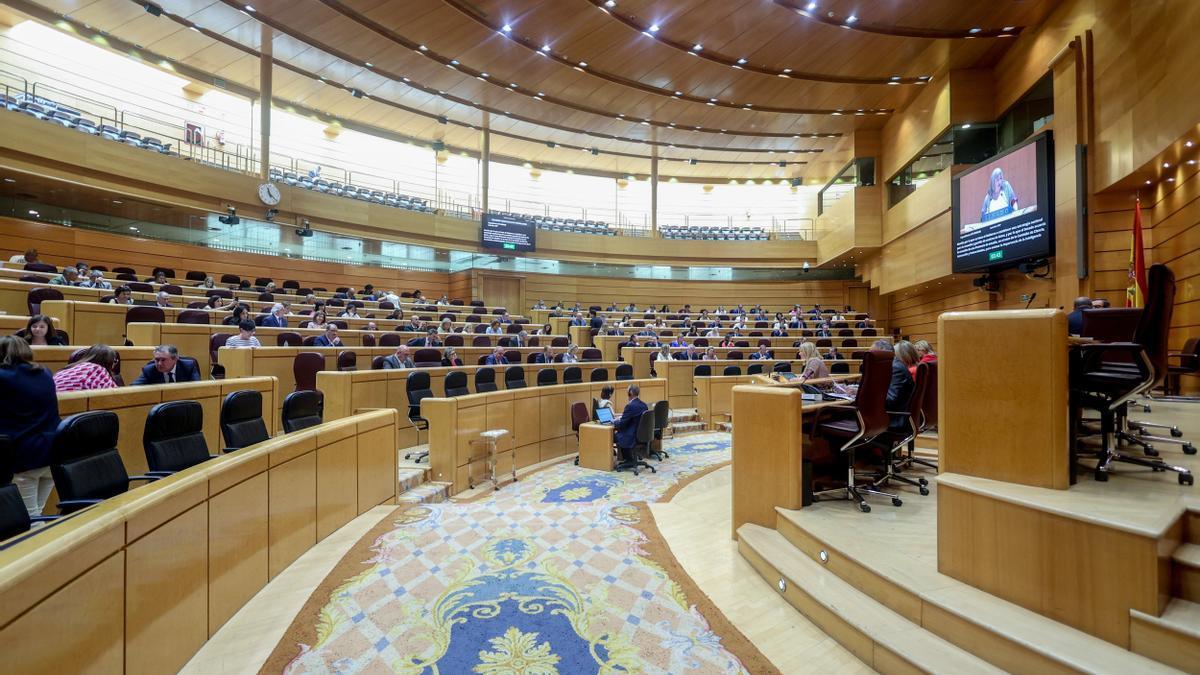 Sesión de control al Gobierno español en el pleno del Senado.