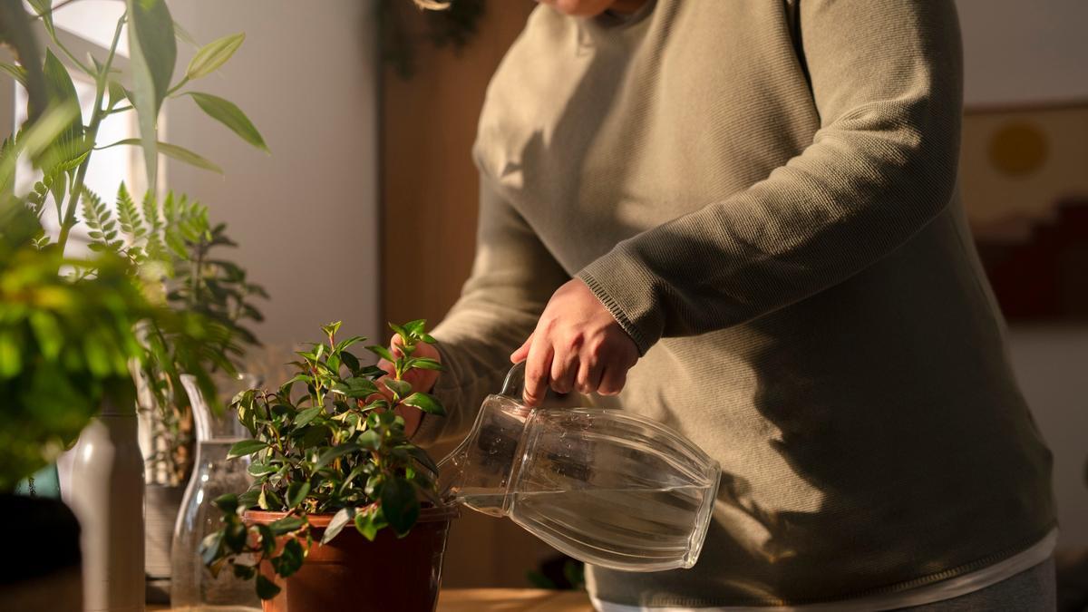 Regar y abonar a la vez es la ventaja de reaprovechar el agua de cocción.