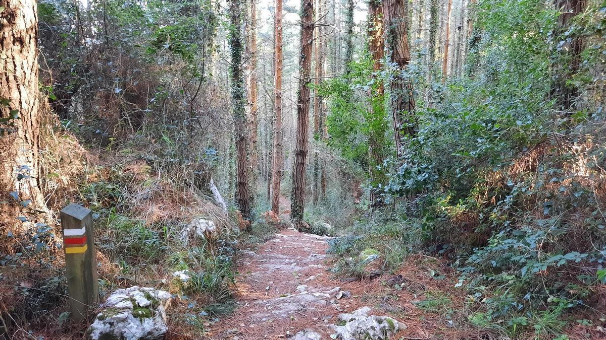 Bajada de la ermita hacia Laida