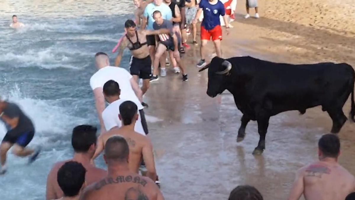El toro cayó al agua después de embestir a un par de asistentes al evento.