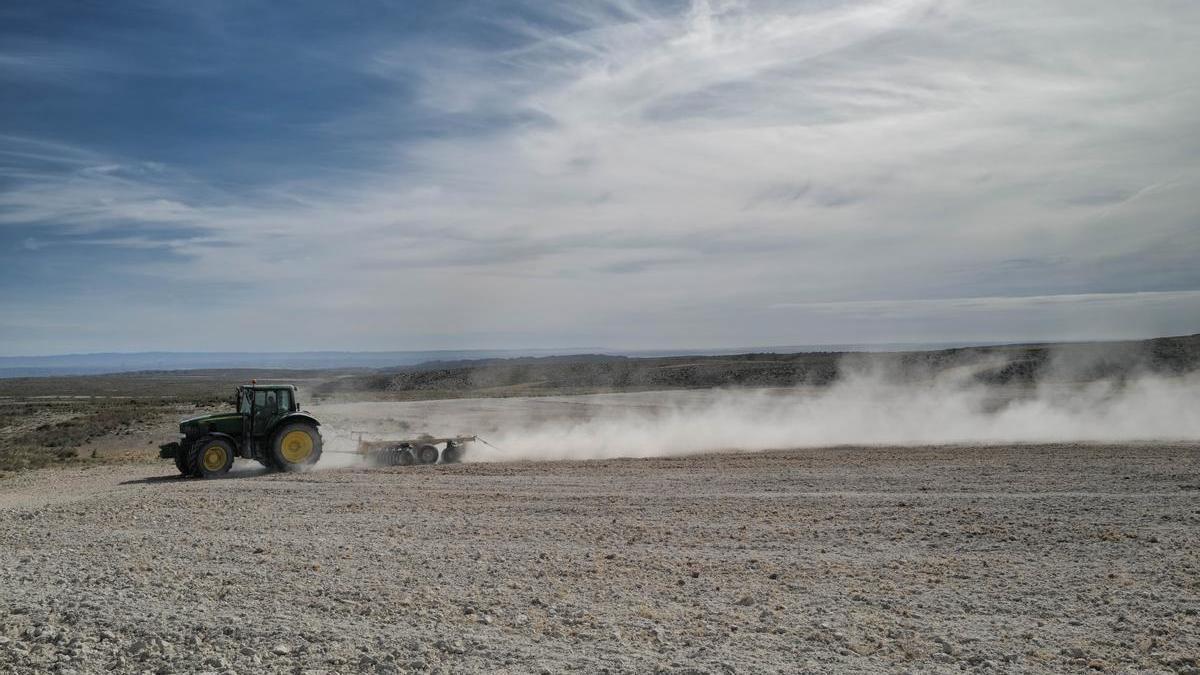 El Gobierno español confirma que habrá ayudas directas para el sector agrario.