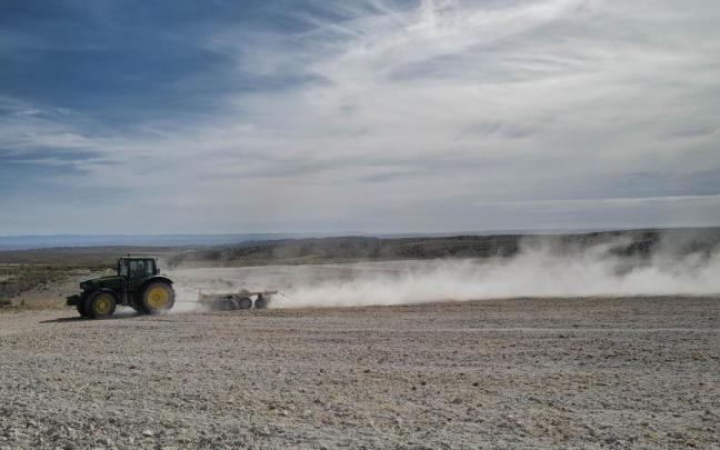 El Gobierno español confirma que habrá ayudas directas para el sector agrario. El Gobierno español confirma que habrá ayudas directas para el sector agrario.