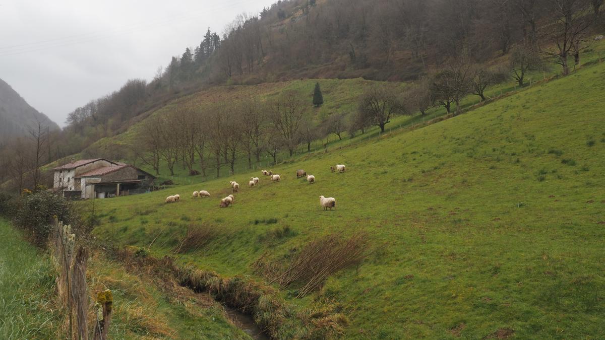Lastur atesora paisajes de gran belleza que hacen las delicias de quientes tienen la ocasión de conocerlos.
