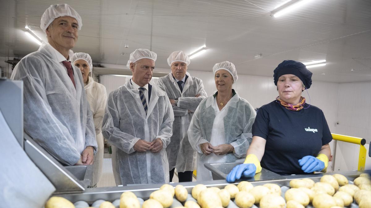 El lehendakari ha visitado la nueva sala robotizada dedicada a la producción y comercialización de patatas de la cooperativa alavesa Udapa.