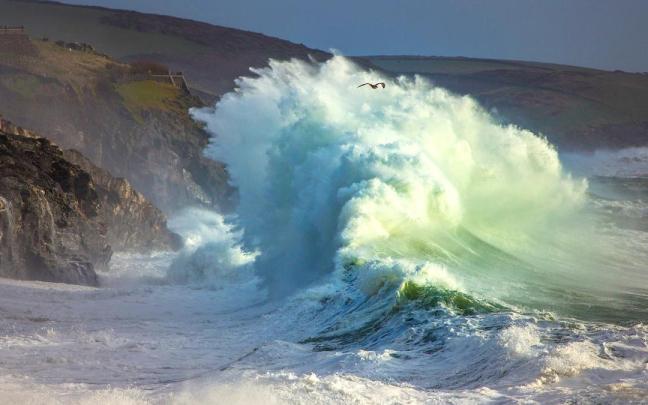 Azti pone en marcha una aplicación online que actúa a modo de observatorio costero.