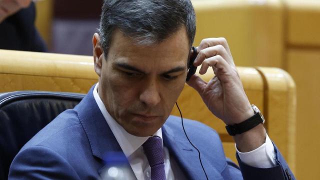 Pedro Sánchez en un pleno en el Senado.