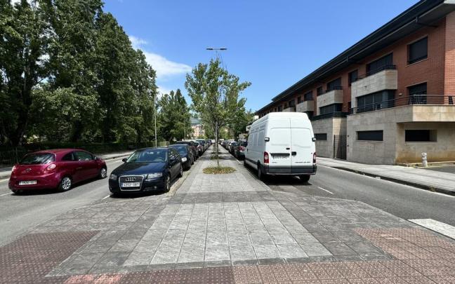 Se plantarán nuevos ejemplares en Zumar Kalea