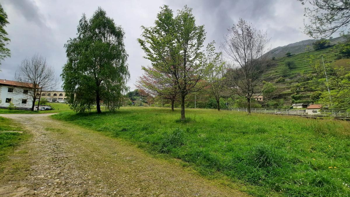 El otro recinto vallado se levantará en una campa ubicada en la zona de acceso al municipio desde Zestoa