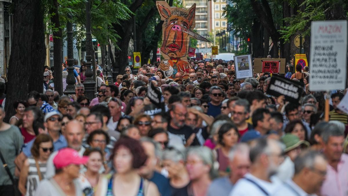 Manifestación para reclamar la dimisión del presidente de la Generalitat, Carlos Mazón